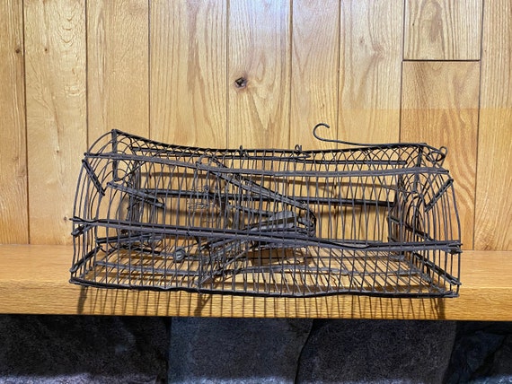 Victorian Mouse Live Trap Wire Cage Humane Trap 