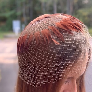 Brown Birdcage Veil - Etsy display picture 3