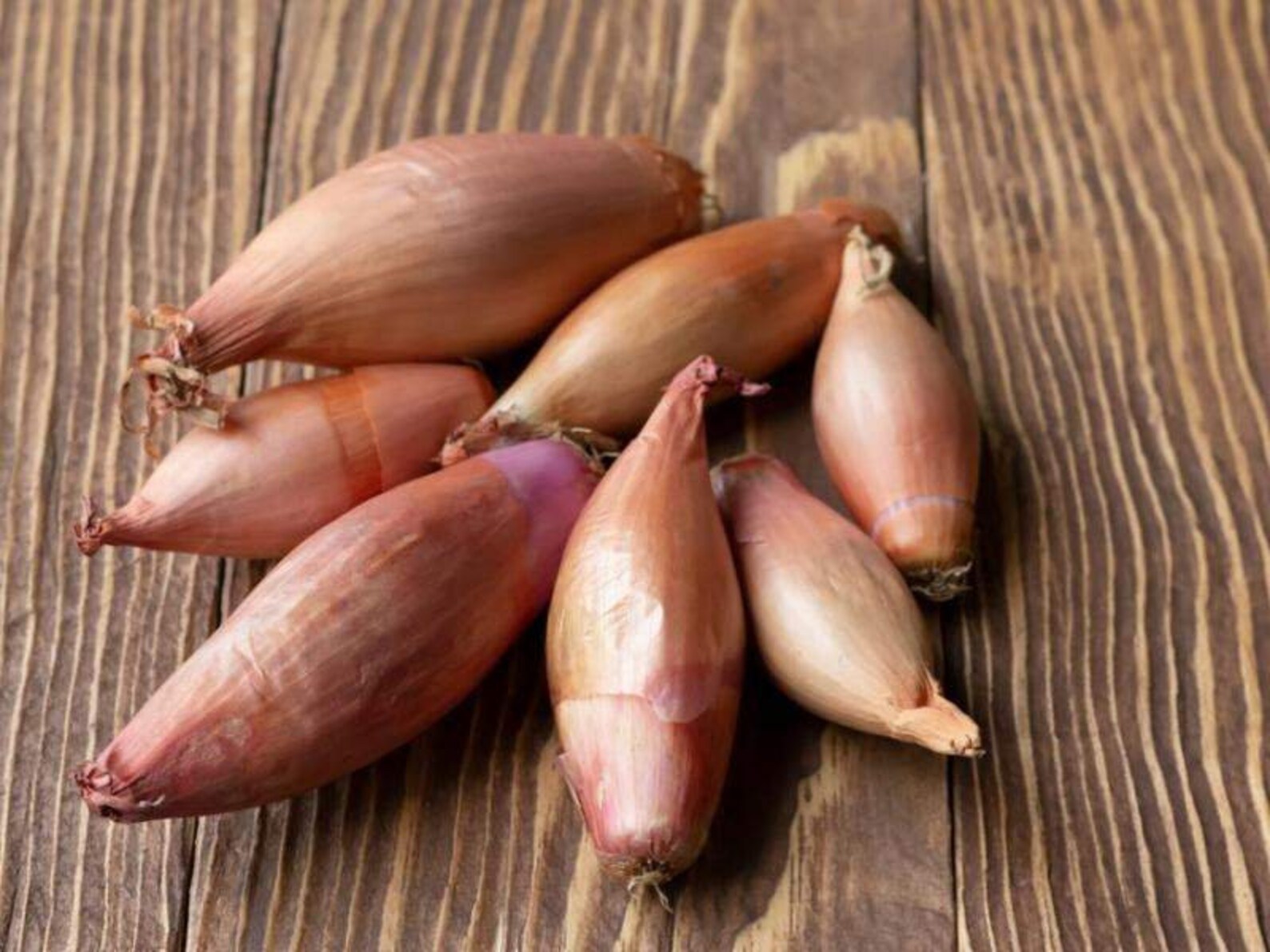 French Shallots 500 Seeds Etsy