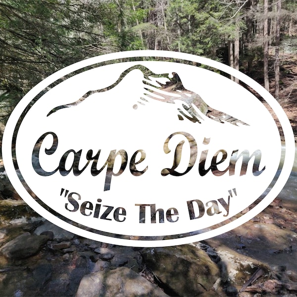 Carpe Diem, Seize the Day Vinyl Decal | Car Decal | Decal Saying | Laptop Decal | Window Decal | Meaningful Decal