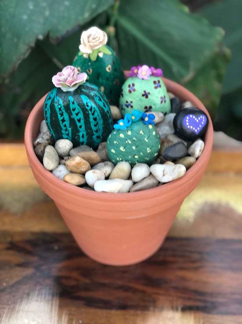 Cactus Gift Cactus Rocks Cactus Decor Cactus Garden Faux Etsy