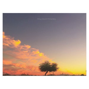 Sunset Photo, Desert Photo, Landscape Photo, Nature Photo, Wall Art, Home Decor, Office Decor, Sonoran Desert, Arizona,