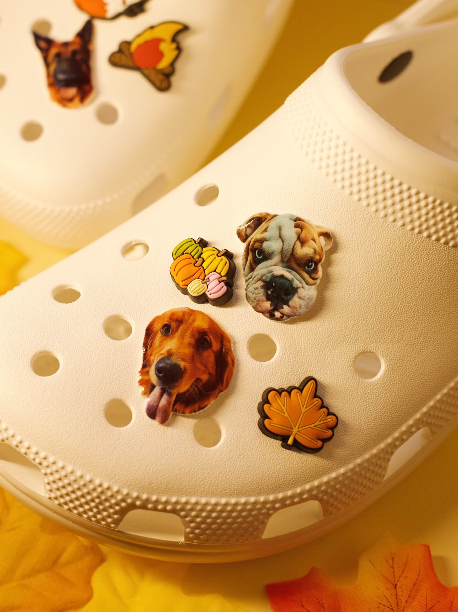 Custom Dog Croc Jibbitz/ Charms Dog & Cat Croc Jibbitz Etsy