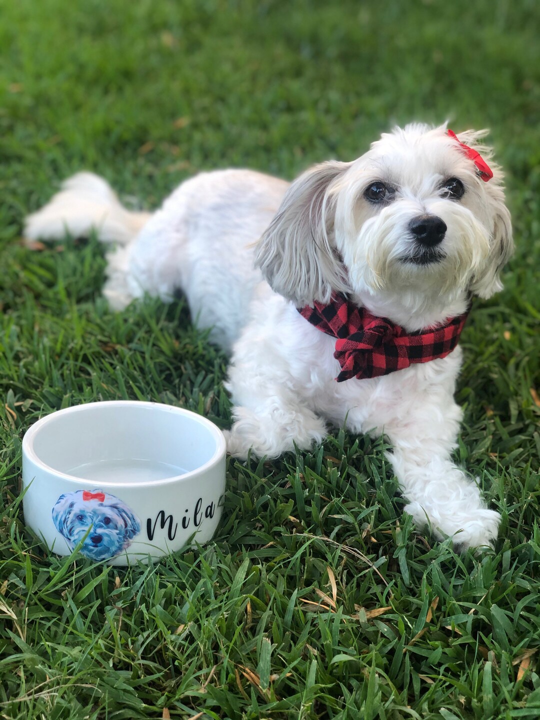 Personalized SMALL Dog Bowl, Custom Dog Bowl, Dog Gift, Puppy Gift