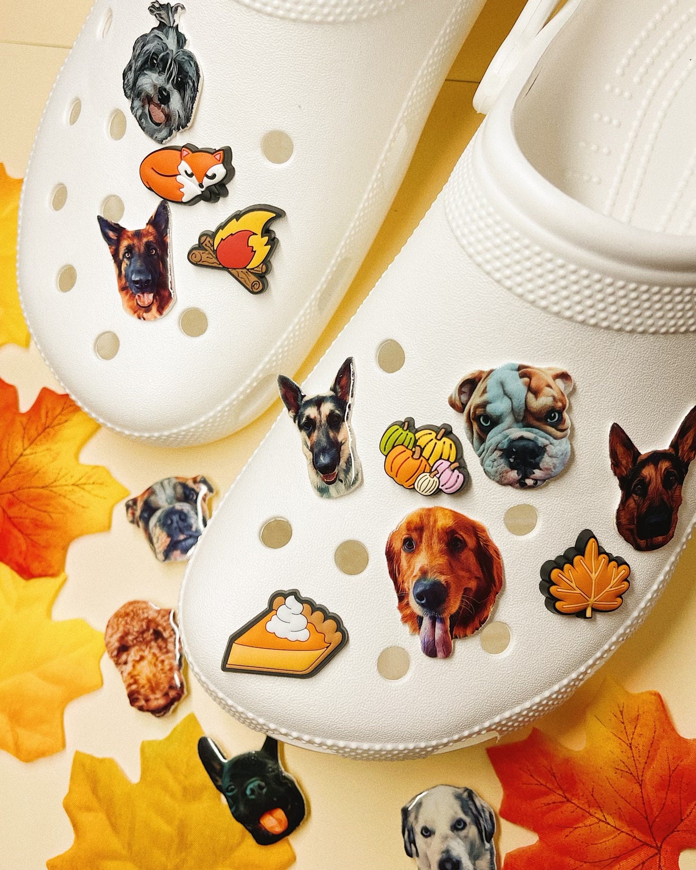 Crocs Charms Pomeranian, Teddy Shoe Decorations