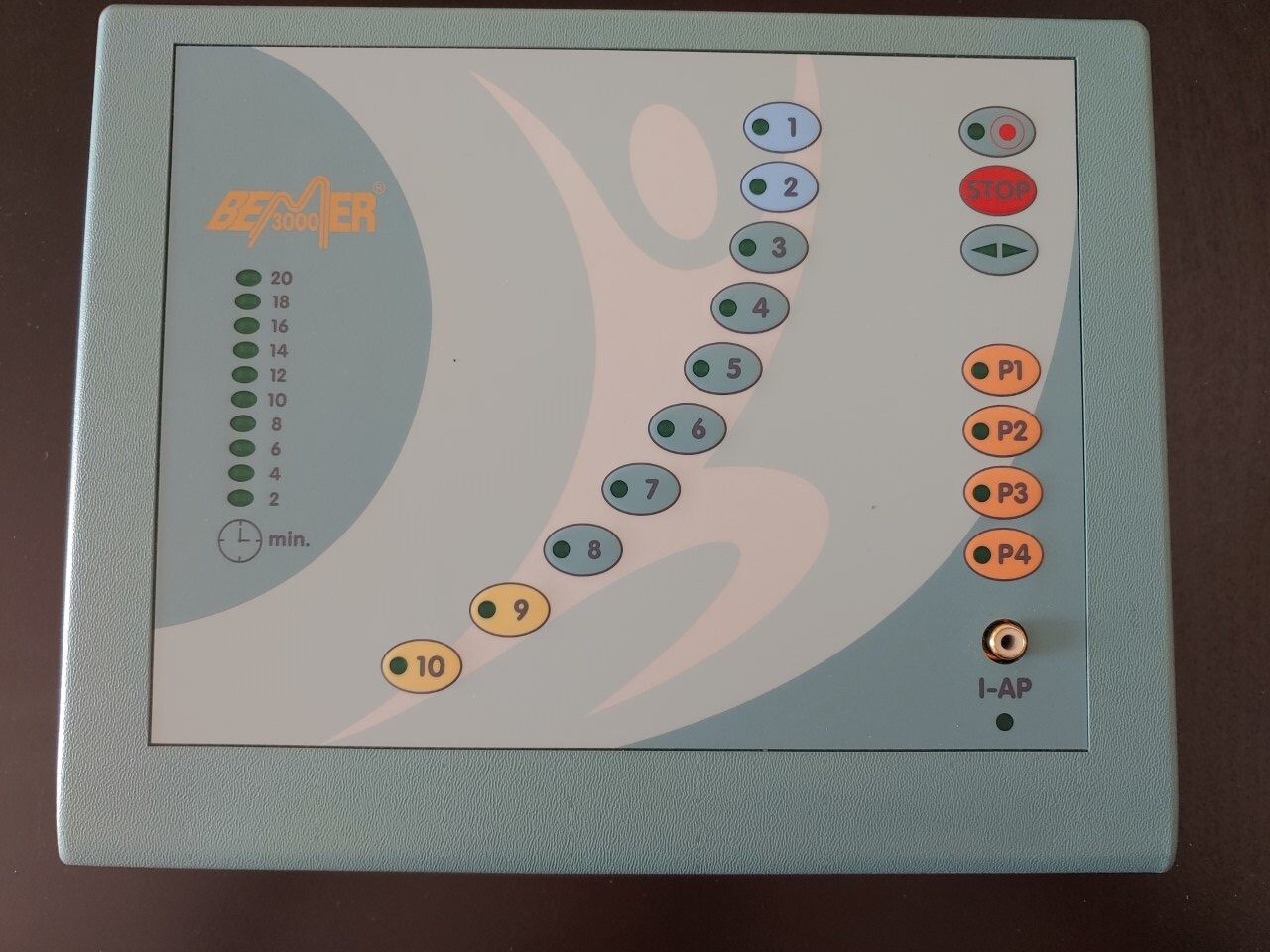 Bemer 3000 Set With Warranty Complete PEMF Mat Set Etsy