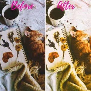 lightroom