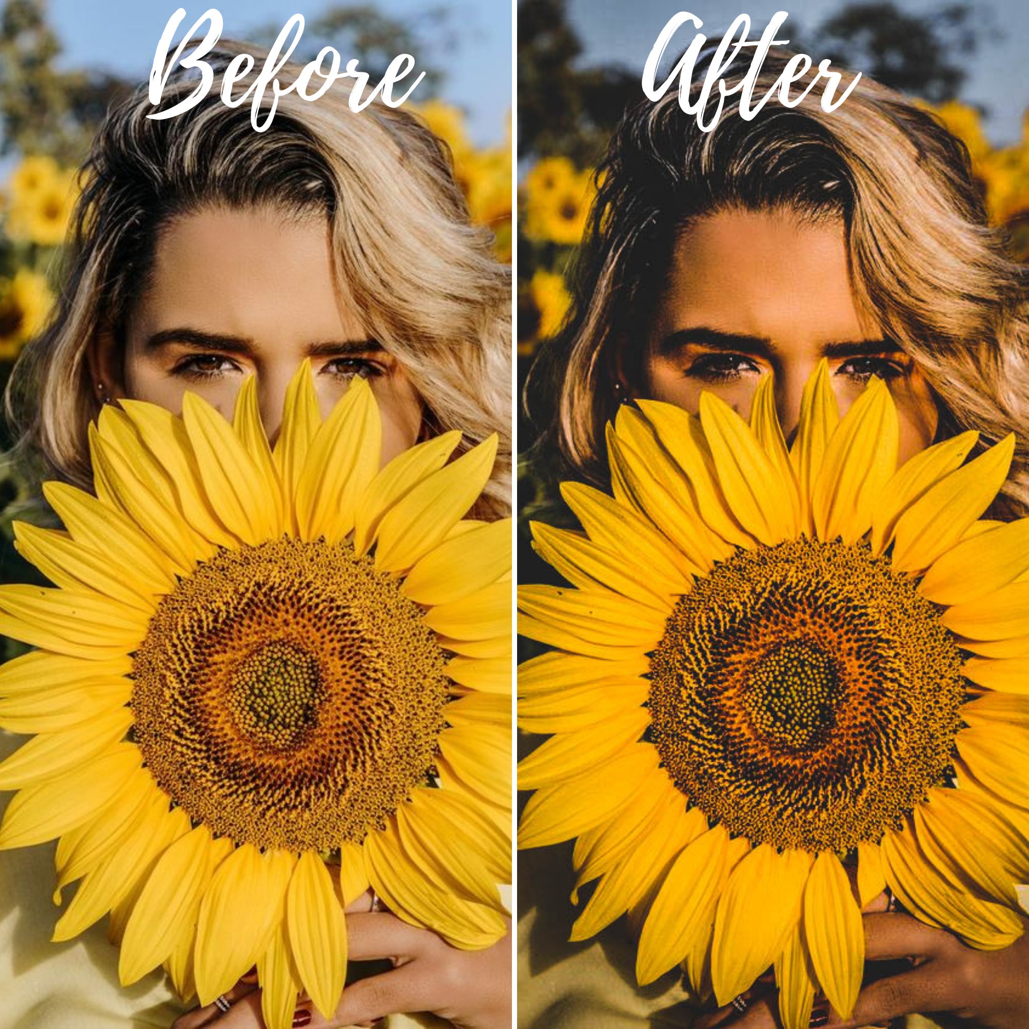 WARM YELLOW TONE Lightroom Preset Background Photo Preset ...