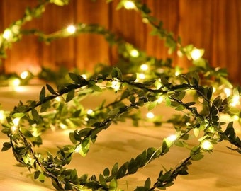 Featured image of post Bedrooms With Led Lights And Vines / This whimsical night light is styled like a little curved mushroom that looks like.