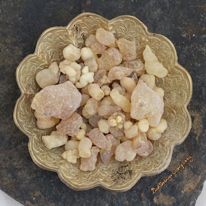Frankincense Oman - the best frankincense in the world - Al Hojari