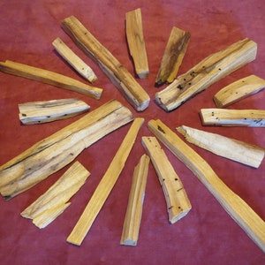 Palo Santo Stick from 10 cm * Holy Wood * Incense wood from South America - with detailed description