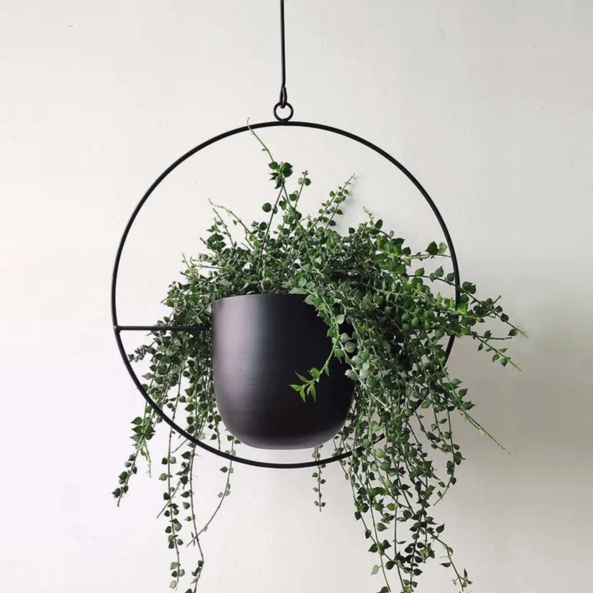 Kate and Laurel Opyd Modern Metal Hanging Wall Planter Chic Boho Wall Decor for Botanicals and Florals 10 x 20 Black 