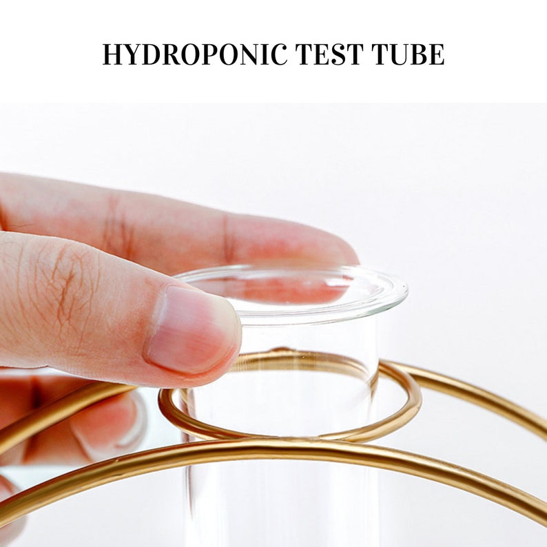 Hydroponic Vases UK Propagation Gold Metal Wire Vase Etsy