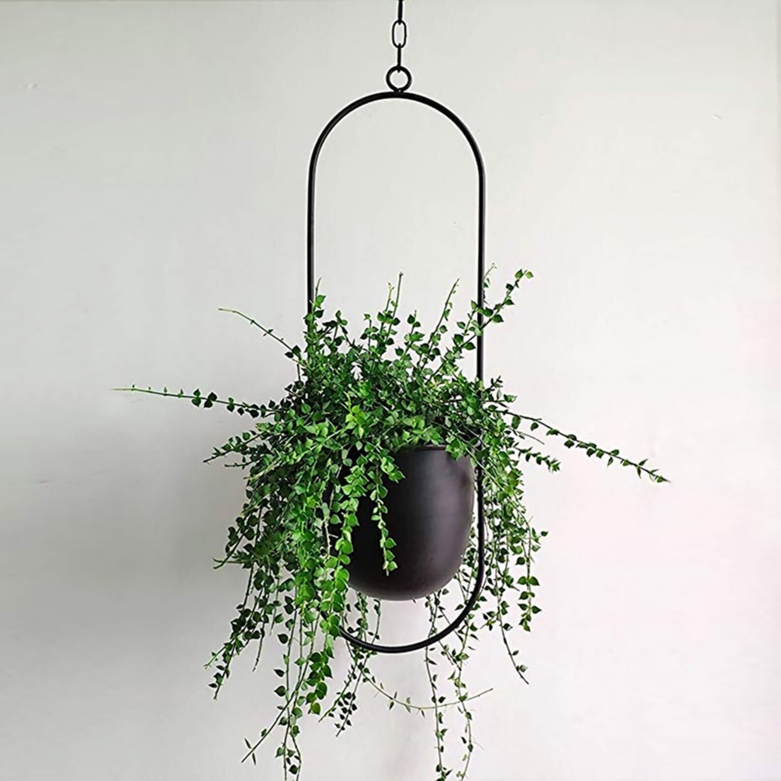 Metal Wall Hanging Plant Hanger Modern Minimalist Hanging Etsy