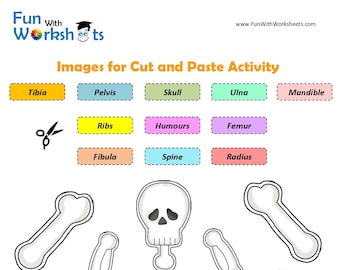 Skeleton Printable | Etsy