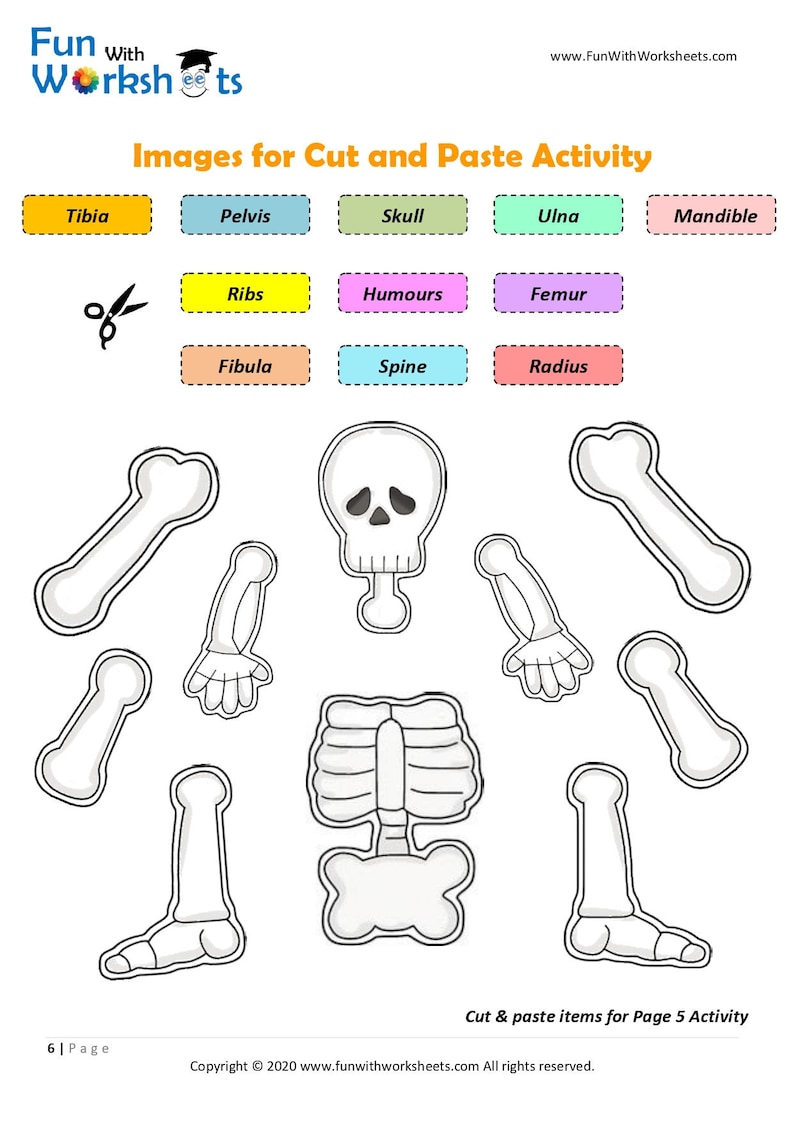 Skeleton Anatomy Activity Printable Human Bones Lesson Moving Skeleton Anatomy Activity Printable Human Bones Lesson Moving