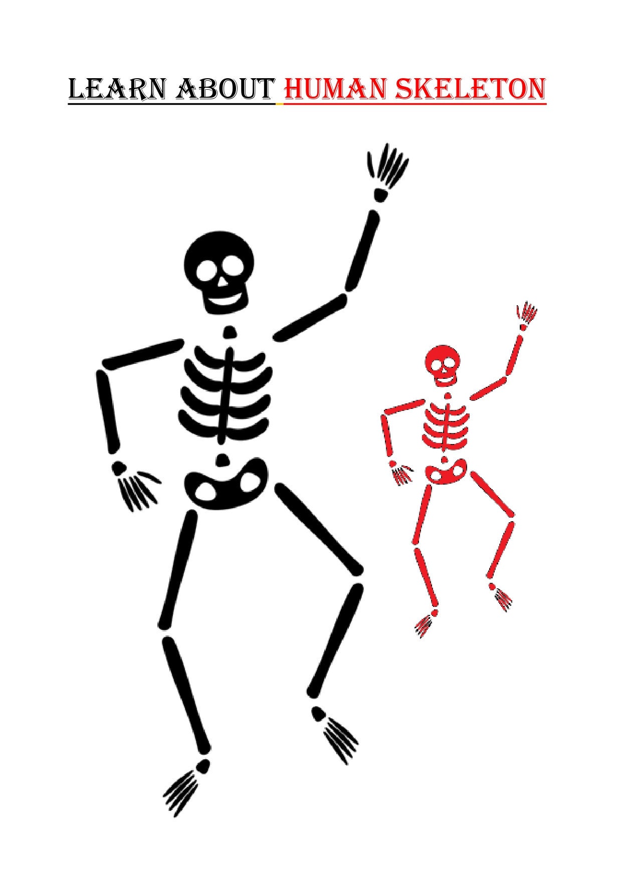 Skeleton Anatomy Activity Printable Human Bones Lesson Etsy