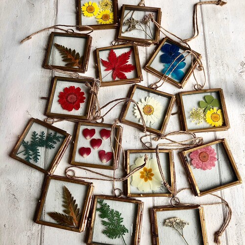 Glass Pressed Round Circle Flower Frame Gypsophila Babys Etsy