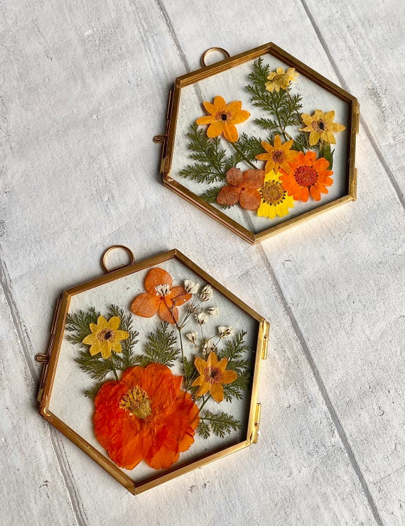 Pressed Flower Frame Botanical Wall Hanging Vintage Floating Etsy