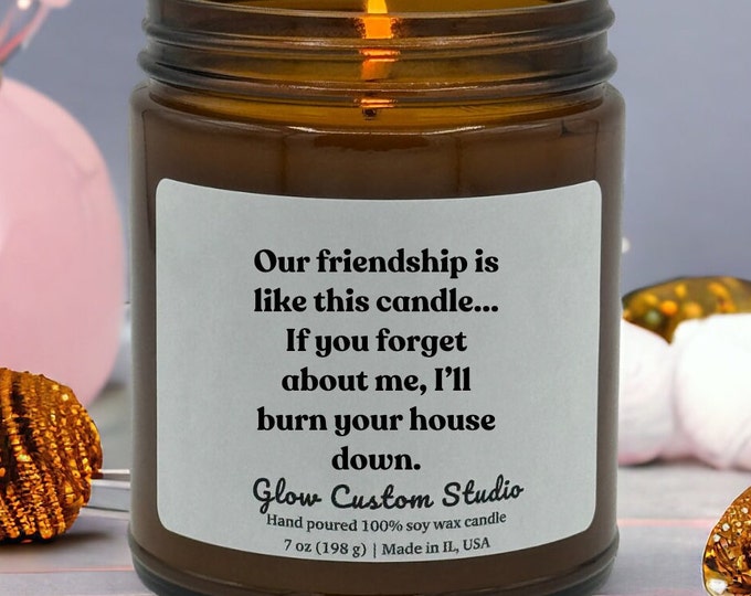 Friendship candle, candles gifts for friends, friendship gifts, funny candles, friend birthday, Our friendship like this candle friend gift