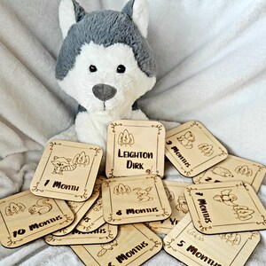 Cartes d'étape personnalisées en bois pour bébés animaux sauvages