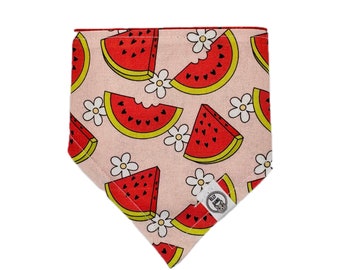 Reversible Snap on Pet Bandanas - Watermelon