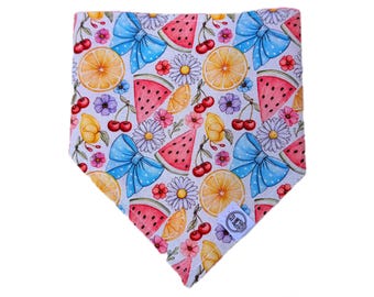 Handmade Cotton Cat Dog Bandana – Reversible Summer fruit