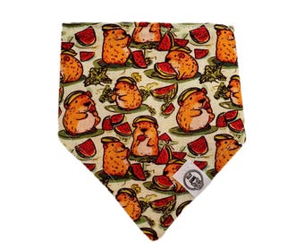 Summer Pet Bandana – Reversible Snap-On Dog & Cat Scarf | Summer with hamsters