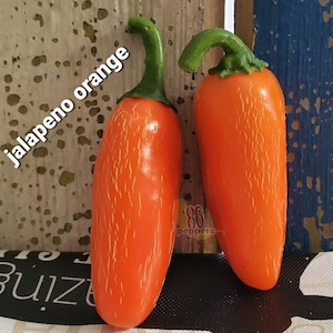 Jalapeno (orange) Pepper Seeds