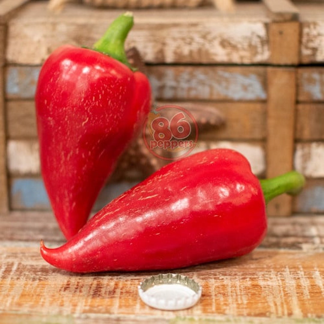 Lesya Pepper Seeds - Etsy