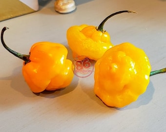 Scotch Bonnet Yellow Pepper Seeds