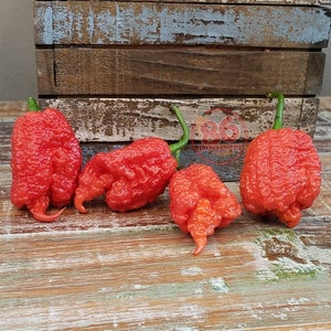 Carolina Reaper Pepper Seeds
