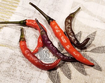 Cayenne Purple Pepper Seeds