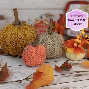 Pumpkin Spice Pattern: A 2-in-1 Tunisian Crochet Pattern