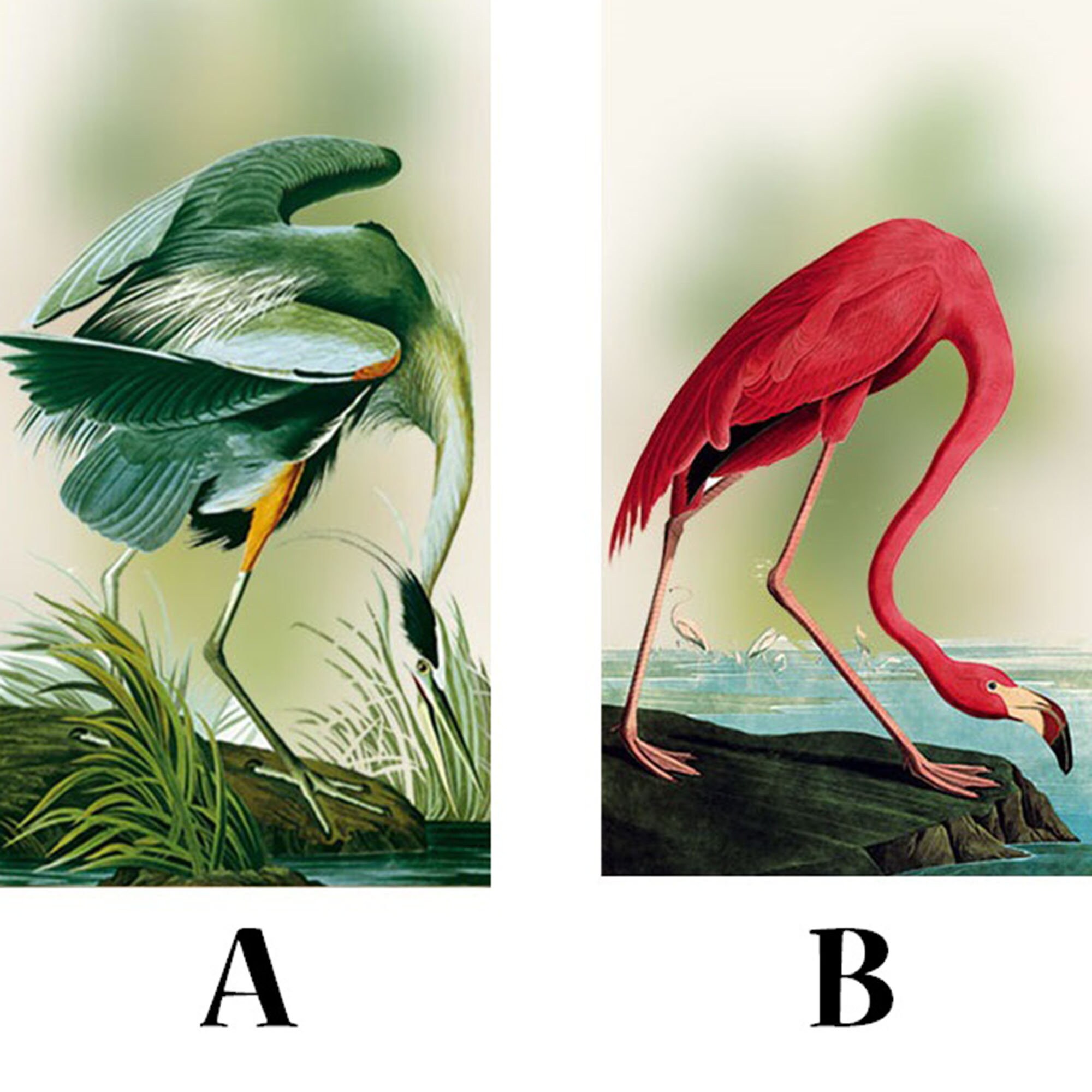 Bird Window Film/ Decorative Glass Film/ Window Stickers/ 3D Etsy