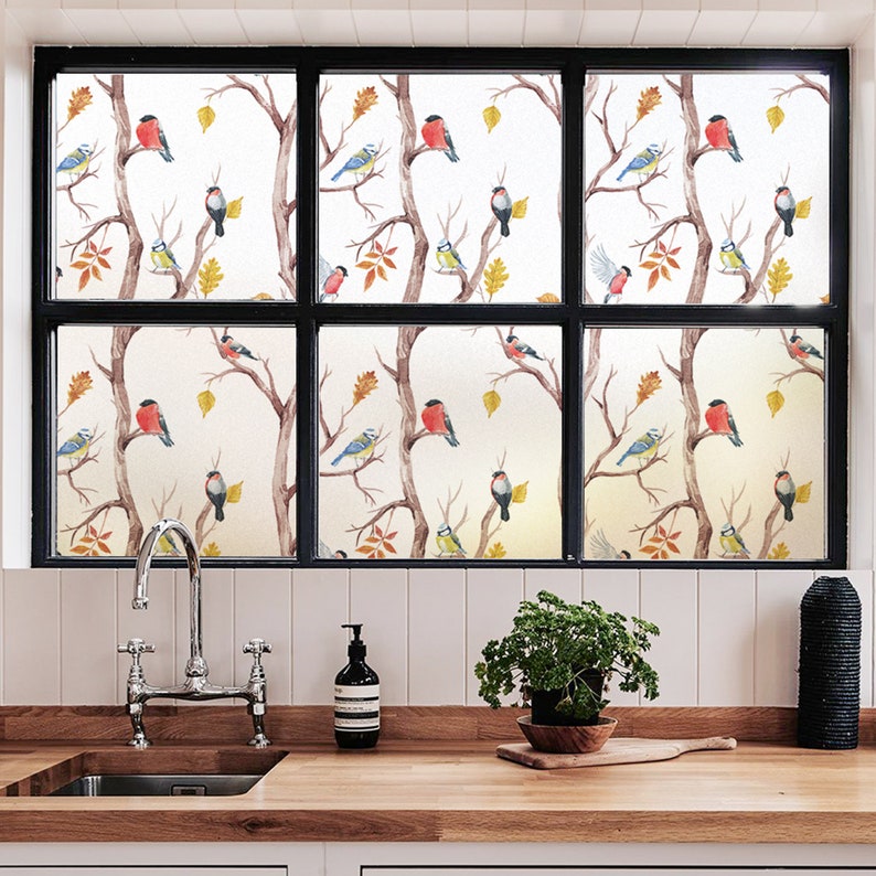 Frosted Window Film/ Bird Decorative Glass Sticker/ Etsy New Zealand