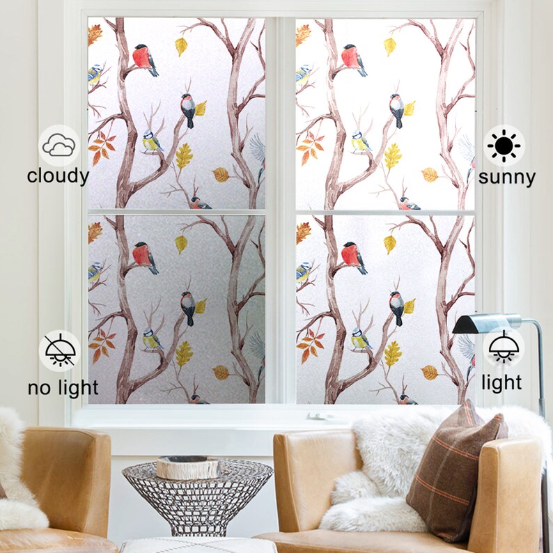 Frosted Window Film/ Bird Decorative Glass Sticker/ Etsy New Zealand