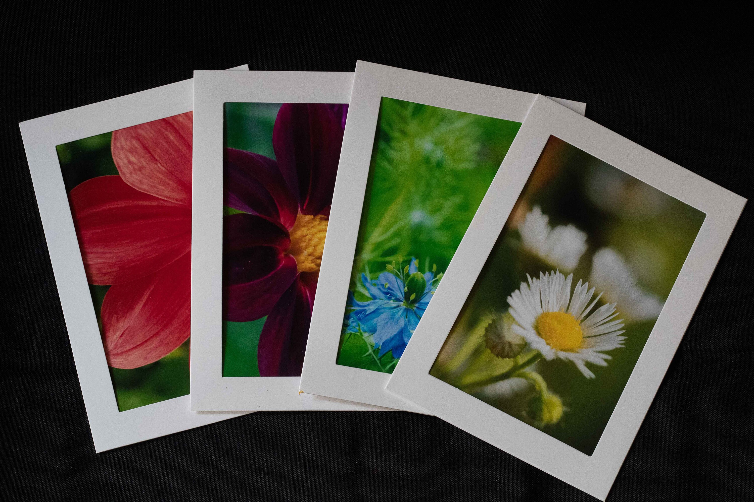 Handmade Photography Note Cards set of 4 Etsy