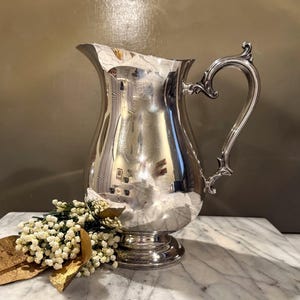 Vintage Silver Water Pitcher / Curvaceous Mustache Shaped Ice Guard / Fancy Scroll Handle / Pedestal Foot