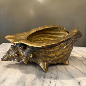 May include: A metallic gold-toned decorative bowl shaped like a conch shell. The object features a textured, uneven surface with pointed protrusions along the exterior and a smooth, hollowed-out interior cavity with a wide opening.