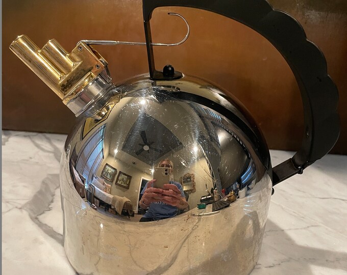 Vintage Alessi Italian Chrome and Brass Tea Kettle Designed by Richard