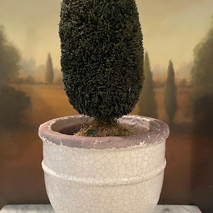 May include: A small, green, artificial topiary tree in a white, crackled ceramic pot. The pot has a light purple rim.