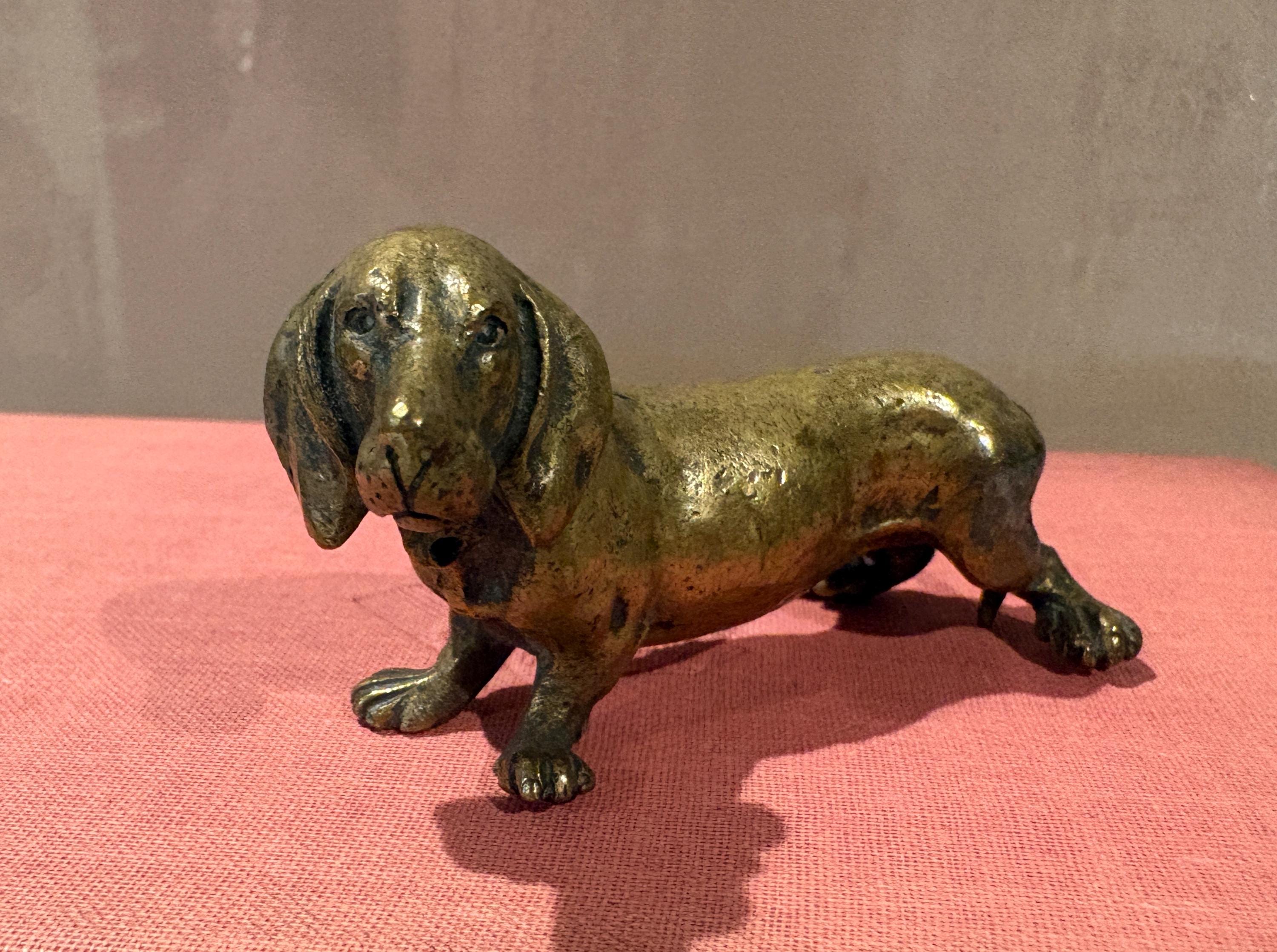 Vienna Bronze Dachshund - Etsy