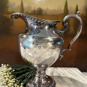 May include: A polished silver-toned metal pitcher featuring a curved handle, a wide pouring spout with a rope-style decorative rim, and a circular pedestal base with a matching rope-style border. The surface is reflective and smooth.