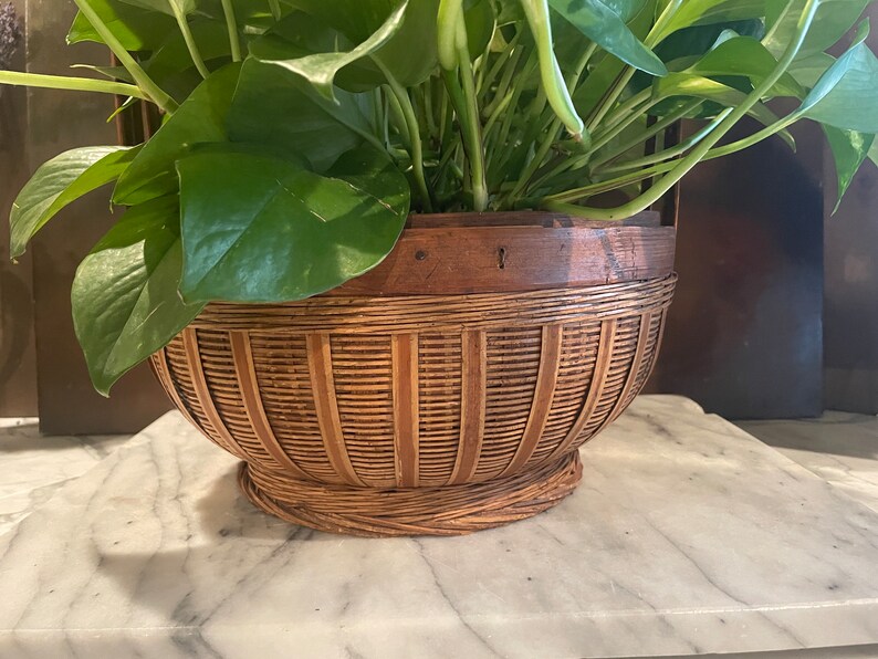 Puede incluir: Una cesta redonda de mimbre marr&oacute;n con un borde de madera, llena de una planta verde de hojas. La cesta tiene una base tejida y est&aacute; sentada sobre una superficie de m&aacute;rmol blanco.