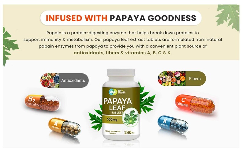 May include: A green bottle of papaya leaf tablets with a white label that says "Wild Organic Papaya Leaf Tablets 500mg 240 Tablets". The bottle is surrounded by images of various fruits and vegetables, including papaya, blueberries, strawberries, and raspberries. The text "Infused with Papaya Goodness" is at the top of the image. The text "Antioxidants, Fibres, Vitamin B2, Vitamin A, Vitamin C, Vitamin K" is also included in the image.