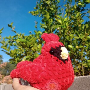 May include: A bright red crocheted cardinal bird plush toy with a soft, textured yarn finish. The bird features a small black patch around its dark eye and a light cream-colored beak. The plush is crafted with a visible, chunky stitch pattern.