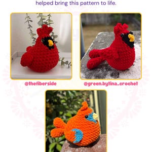 May include: Three crocheted bird plushies. Two are bright red with black face masks and yellow beaks. One is orange with a light blue face mask and beak. Text reads: Big thank you to my pattern testers who helped bring this pattern to life.
