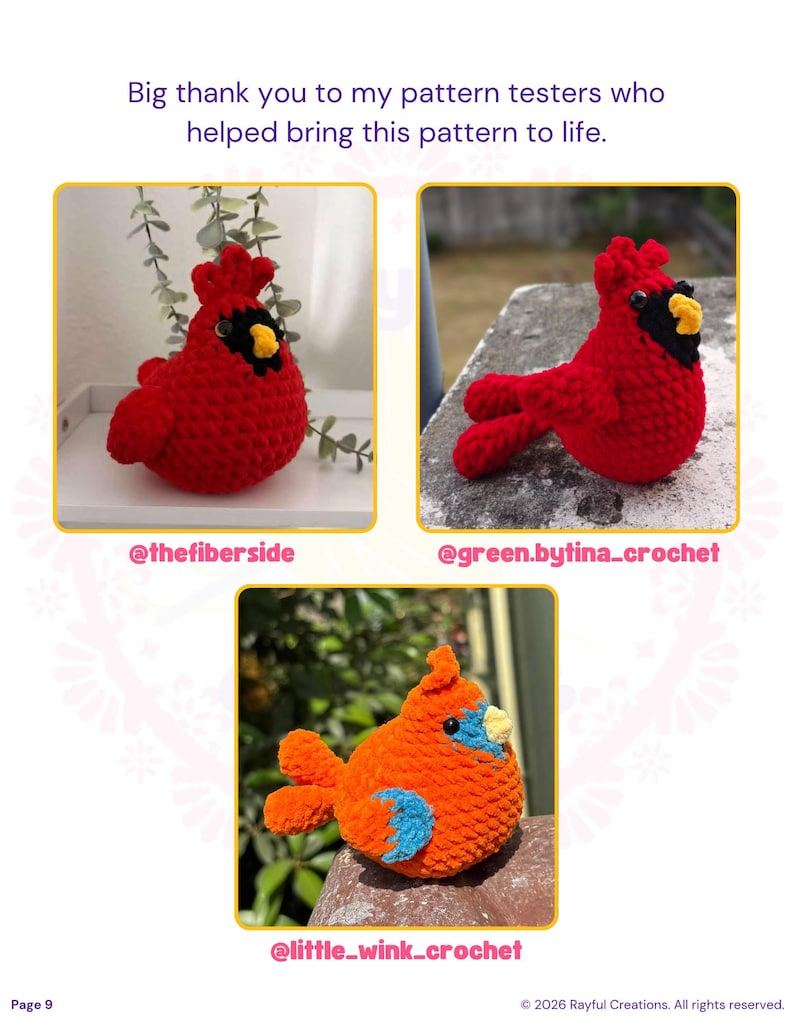 May include: Three crocheted bird plushies. Two are bright red with black face masks and yellow beaks. One is orange with a light blue face mask and beak. Text reads: Big thank you to my pattern testers who helped bring this pattern to life.