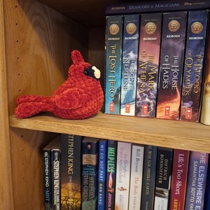 May include: A plush, crocheted cardinal bird with a vibrant red, textured yarn body, a black face mask, and a small, light-colored beak. The bird is positioned on a wooden shelf next to a collection of books, including the Heroes of Olympus series.